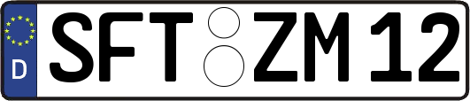 SFT-ZM12