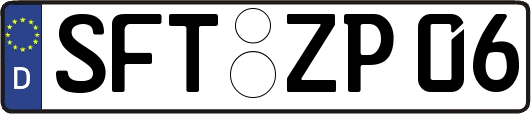 SFT-ZP06
