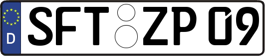 SFT-ZP09
