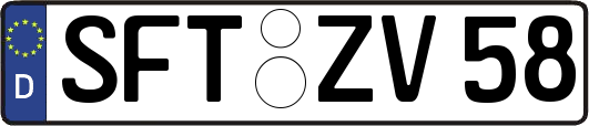 SFT-ZV58
