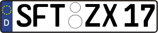 SFT-ZX17