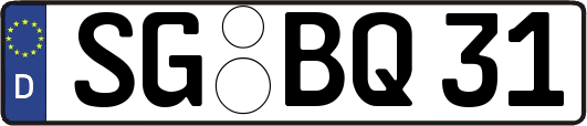 SG-BQ31
