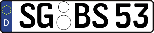 SG-BS53