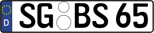 SG-BS65
