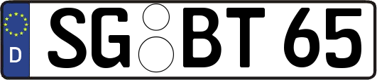 SG-BT65
