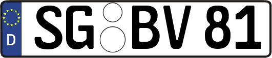 SG-BV81