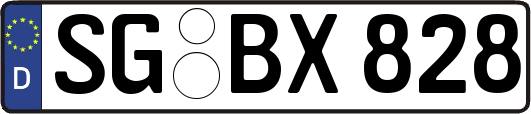 SG-BX828