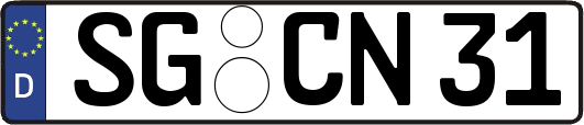 SG-CN31