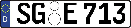SG-E713