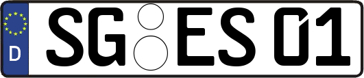 SG-ES01