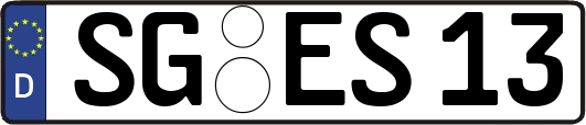 SG-ES13