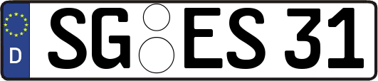 SG-ES31