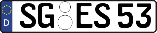 SG-ES53