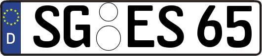 SG-ES65