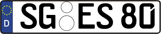 SG-ES80