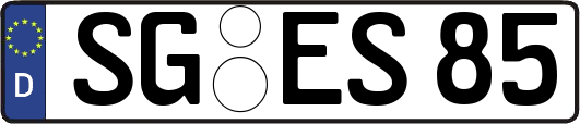 SG-ES85