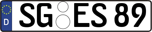 SG-ES89