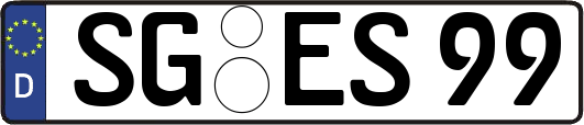 SG-ES99