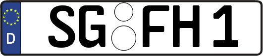 SG-FH1