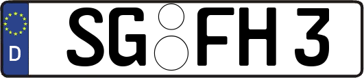 SG-FH3