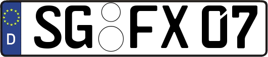 SG-FX07