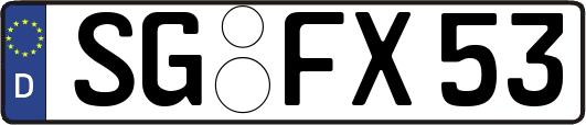 SG-FX53
