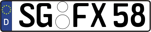 SG-FX58