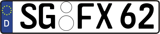 SG-FX62