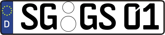 SG-GS01