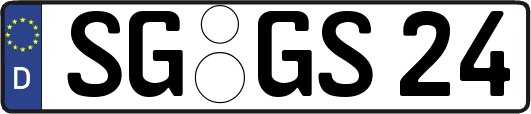 SG-GS24