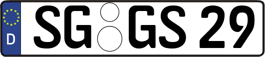 SG-GS29