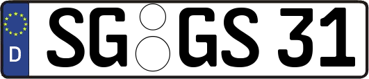 SG-GS31