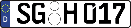 SG-H017