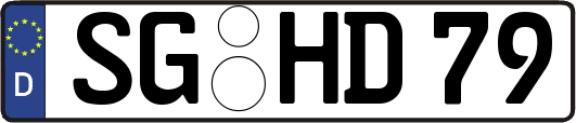 SG-HD79