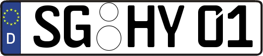 SG-HY01