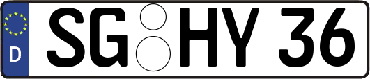 SG-HY36