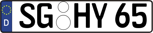 SG-HY65