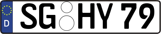 SG-HY79