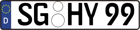SG-HY99