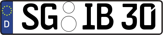 SG-IB30