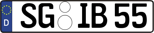 SG-IB55