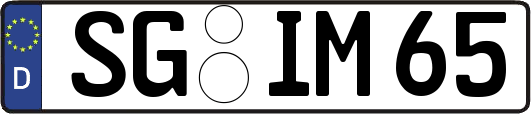 SG-IM65