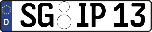 SG-IP13