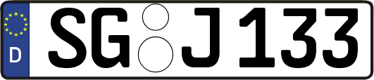 SG-J133