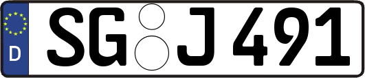SG-J491
