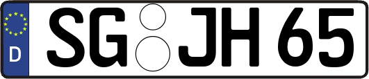 SG-JH65