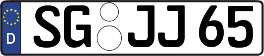 SG-JJ65
