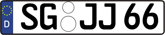 SG-JJ66