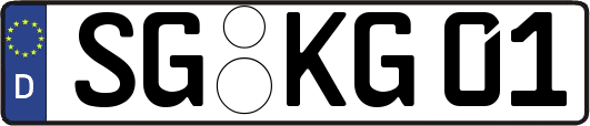 SG-KG01
