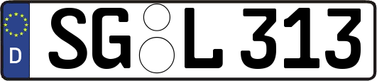 SG-L313